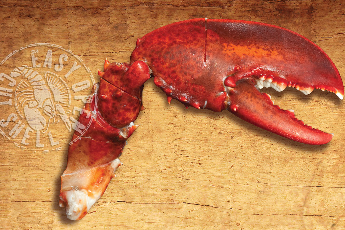 East Coast Seafood Scored Claws and Arms, Frozen