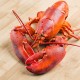 30lb Live Lobster, Premium